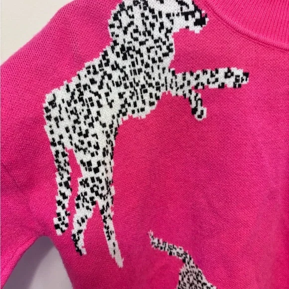 Pink Sweater with Cheetah Design - Picture 3 of 4